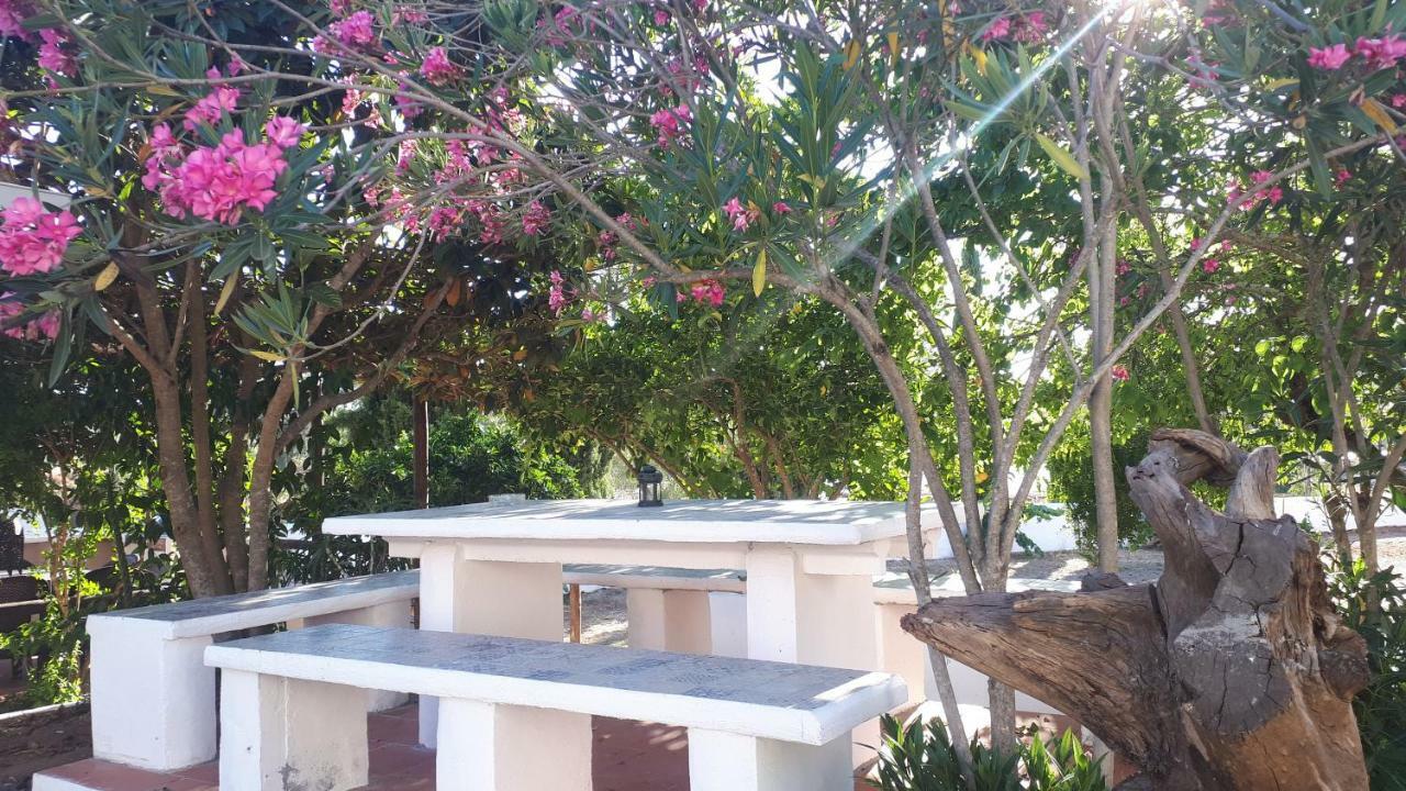 Palacete Dos Alcaides Minas de São Domingos Екстериор снимка
